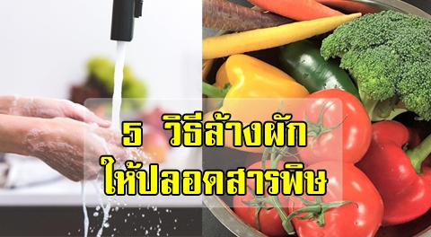 5 วิธีง่ายๆ ''ล้างผัก'' อย่างไรให้ปลอดสารพิษ เพื่อสุขภาพที่ดี !!!