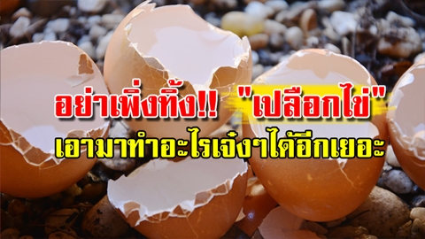 อย่าเพิ่งทิ้ง!! 7 เรื่องที่น่าทึ่งของ ''เปลือกไข่'' ที่เอามาทำอะไรเจ๋งๆได้อีกเยอะ!!