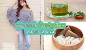 สมุนไพรไทยลดความอ้วน ปลอดภัย เห็นผลจริง