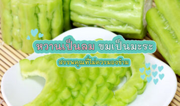 สรรพคุณของมะระ หวานเป็นลมขมเป็นยาที่เราไม่อาจมองข้าม