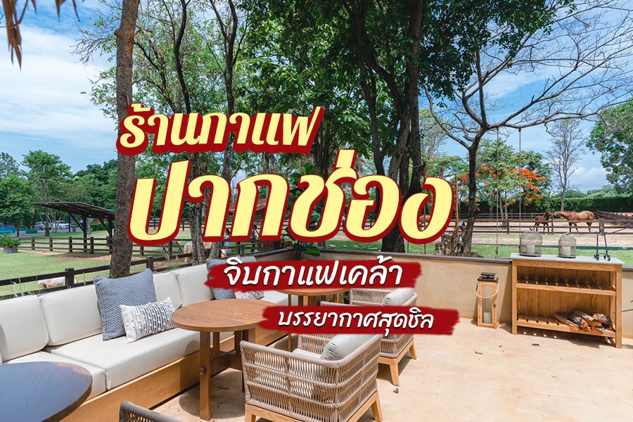 ร้านกาแฟปากช่อง 2024 ร้านกาแฟสวยๆ กาแฟดี บรรยากาศสุดชิล