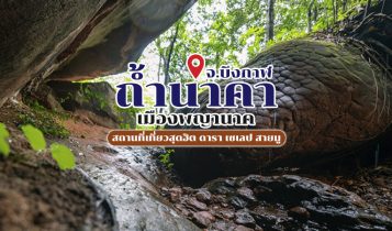 วิธีไปถ้ำนาคา จังหวัดบึงกาฬ 2566 เมืองพญานาค ที่พากันไปกราบไหว้ขอพร