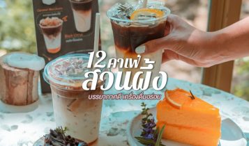 10 คาเฟ่สวนผึ้ง 2566 คาเฟ่เปิดใหม่ ร้านกาแฟสวนผึ้ง บรรยากาศดี