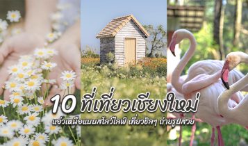 10 ที่เที่ยวเชียงใหม่ 2566 จุดเช็คอินเชียงใหม่ ที่เที่ยวเปิดใหม่ถ่ายรูปสวย