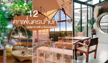 12 คาเฟ่นครนายก 2566 คาเฟ่ใกล้กรุงเทพ บรรยากาศดี น่าไปนั่งชิลล์