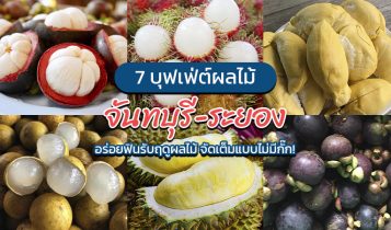 7 บุฟเฟ่ต์ผลไม้ จันทบุรี ระยอง 2024 อร่อยฟินรับฤดูผลไม้ แบบจัดเต็ม