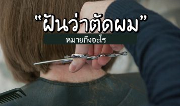 ฝันว่าตัดผม ทำนายฝัน ฝันว่าคนอื่นตัดผมให้ ฝันเกี่ยวกับผม