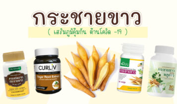 กระชายขาว ยี่ห้อไหนดี 2022 เสริมภูมิคุ้มกัน ต้านโควิด19