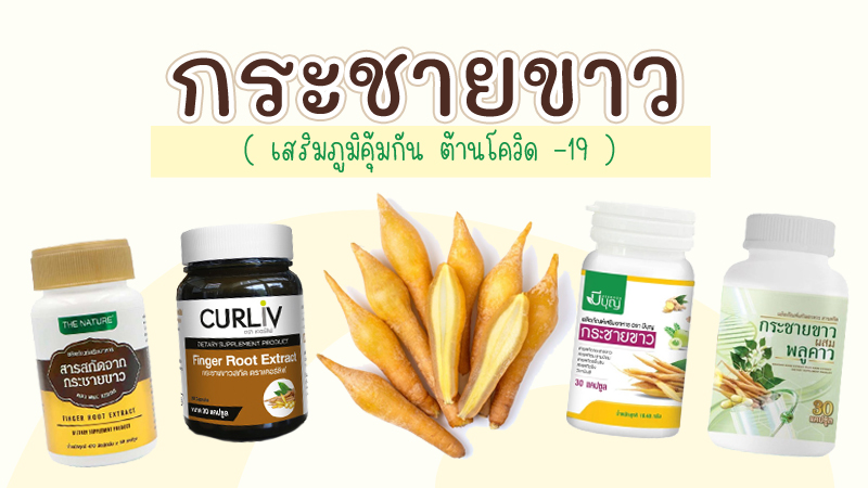 กระชายขาวสกัดยี่ห้อไหนดี