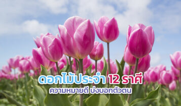 ดอกไม้ประจำราศี 2024 ดอกไม้สัญลักษณ์ประจำตัวของ 12 ราศี