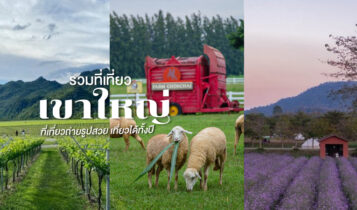 23 ที่เที่ยวเขาใหญ่เปิดใหม่ 2566 ถ่ายรูปสวย เที่ยวได้ทั้งปี