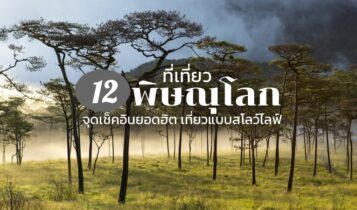 12 ที่เที่ยวพิษณุโลก 2566 จุดเช็คอินยอดฮิต เที่ยวแบบสโลว์ไลฟ์