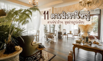 11 คาเฟ่เขาใหญ่ 2566 คาเฟ่เปิดใหม่น่ารักๆ มุมถ่ายรูปเพียบ