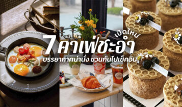 7 คาเฟ่ชะอำ 2024 คาเฟ่เปิดใหม่ ร้านกาแฟสวยๆ ชวนกันไปเช็คอิน