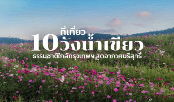 10 ที่เที่ยววังน้ำเขียว 2024 เที่ยวสวนดอกไม้ ถ่ายรูปสวย ธรรมชาติใกล้กรุงเทพ