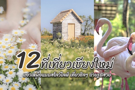 12 ที่เที่ยวเชียงใหม่ 2566 เปิดใหม่ เที่ยวธรรมชาติ ใกล้ตัวเมือง ในเมือง กลางคืน