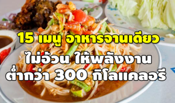 15 เมนูอาหารจานเดียว ไม่อ้วน ให้พลังงาน ต่ำกว่า 300 กิโลแคลอรี