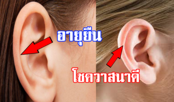13 ลักษณะใบหู บ่งบอก โชคลาภ ดวงชะตา ดูโหงวเฮ้งจากลักษณะใบหู ทำนายอนาคตของคุณได้อย่างแม่นยำ