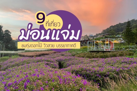 9 ที่เที่ยวม่อนแจ่ม 2566 ที่เที่ยวเปิดใหม่ ชมทุ่งดอกไม้ วิวสวย บรรยากาศดี