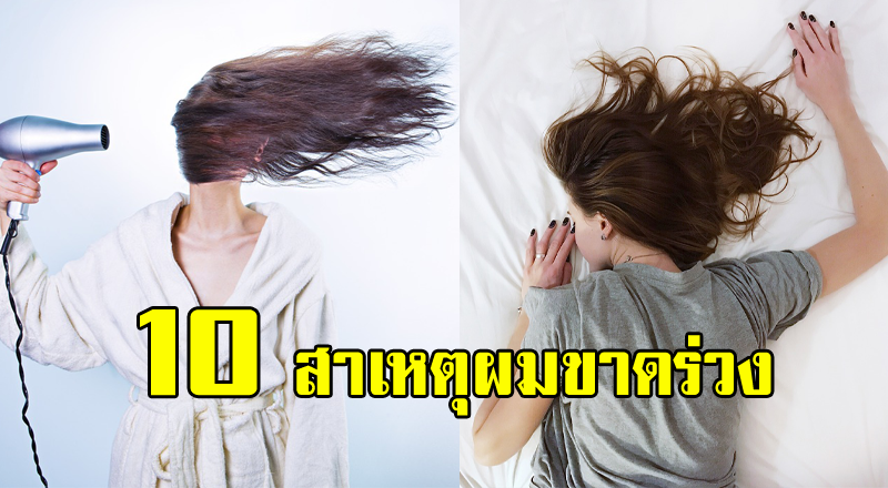 ผมขาดร่วง แก้ยังไง