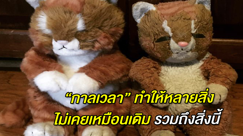 ''กาลเวลา'' ทำให้หลายสิ่งไม่เคยเหมือนเดิม รวมถึงสิ่งนี้ 