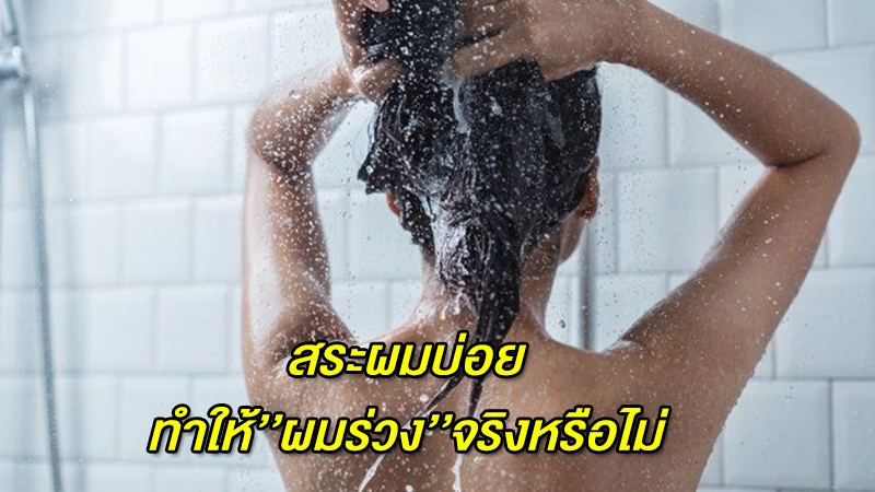 สระผมบ่อย ทำให้''ผมร่วง''จริงหรือไม่