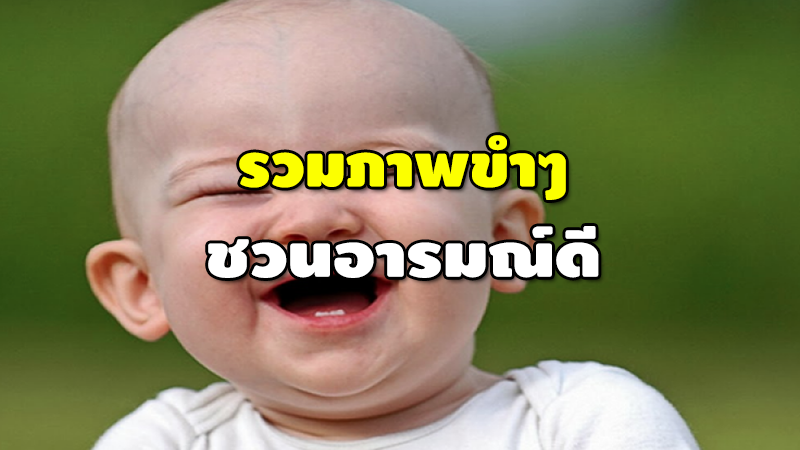 รวมภาพขำๆ ชวนอารมณ์ดี