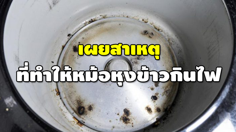 เผยสาเหตุ ที่ทำให้หม้อหุงข้าวกินไฟ