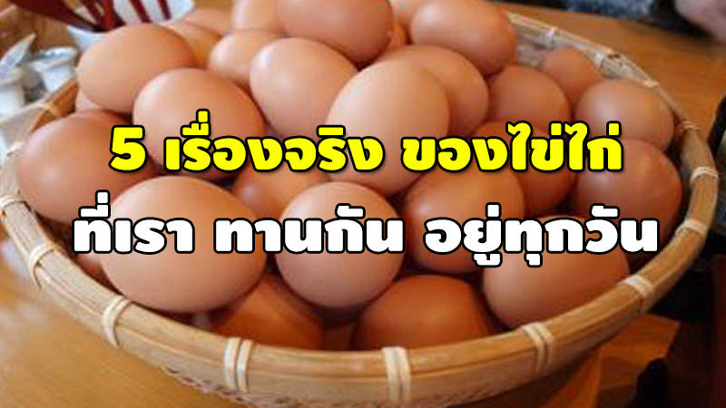 5 เรื่องจริง ของไข่ไก่ ที่เรา ทานกัน อยู่ทุกวัน