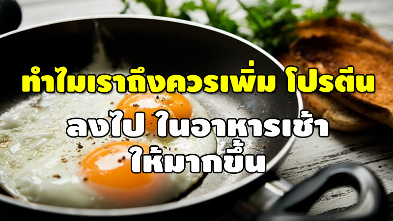 ทำไมเราถึงควรเพิ่ม โปรตีน ลงไปในอาหารเช้า ให้มากขึ้น