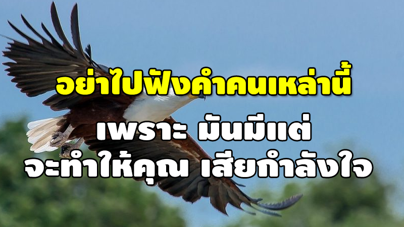 อย่าไปฟังคำคนเหล่านี้ เพราะ มันมีแต่ จะทำให้คุณ เสียกำลังใจ